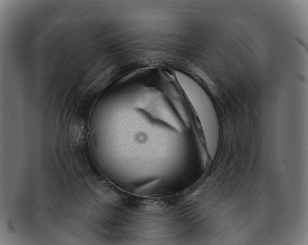 X0000091670073200709131536