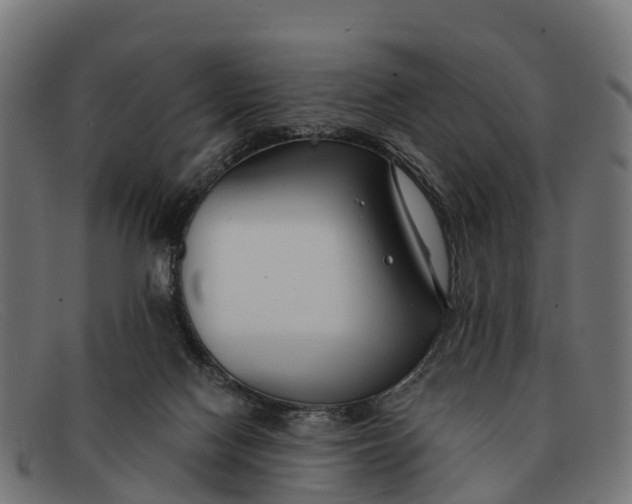 X0000091670074200709131536