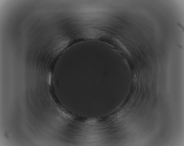 X0000091670076200709131536