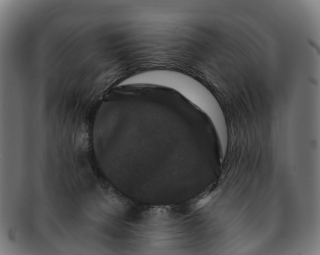 X0000091670080200709131536