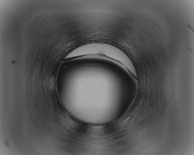 X0000091670081200709131536