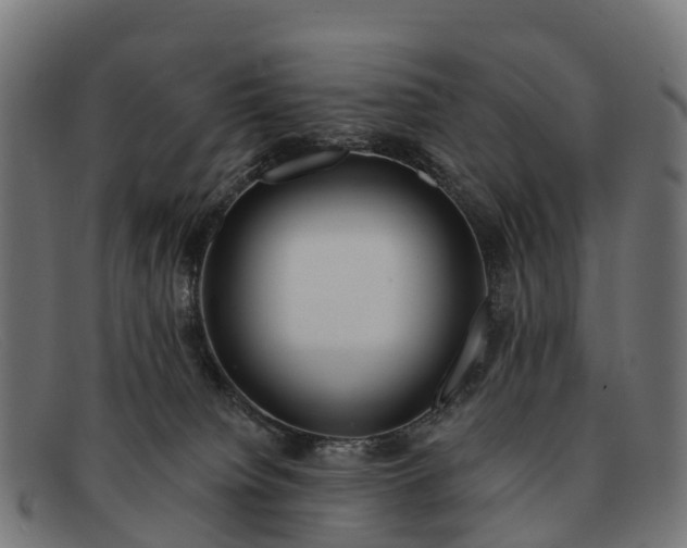 X0000091670084200709131536