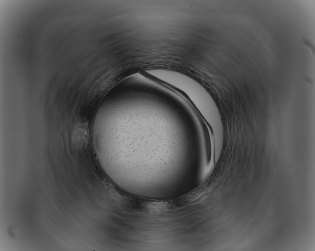 X0000091670085200709131537