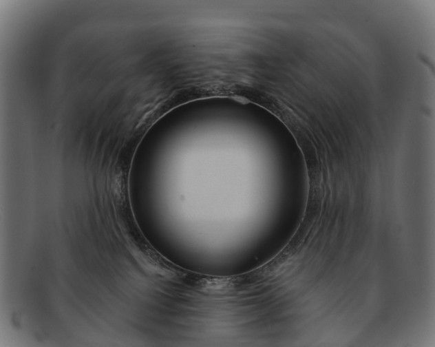 X0000091670088200709131537