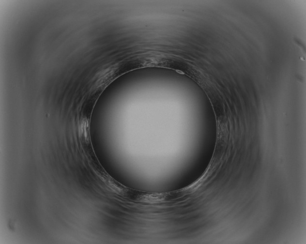 X0000091670094200709131537