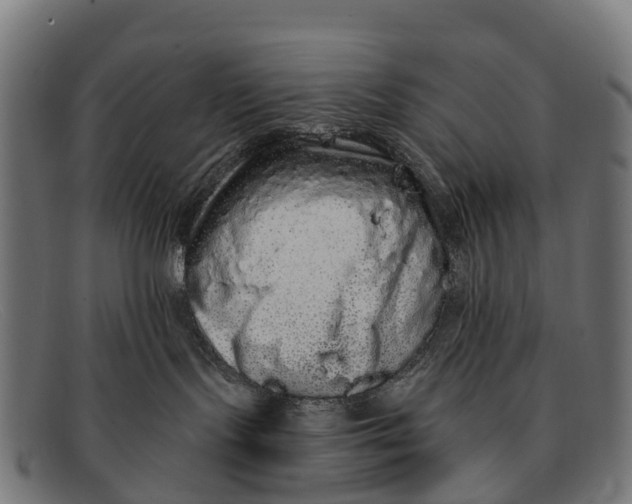 X0000091670095200709131537