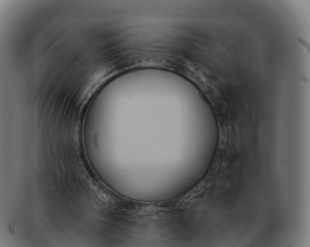 X0000091670098200709131536