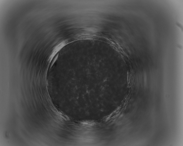 X0000091670099200709131536