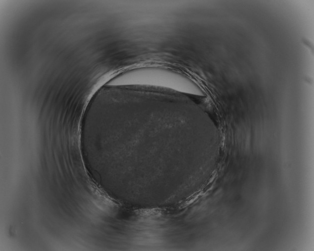 X0000091670100200709131536