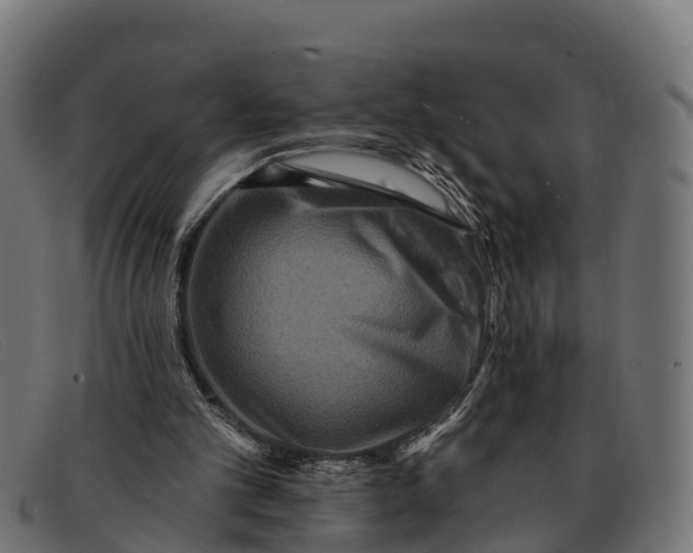 X0000091670101200709131536