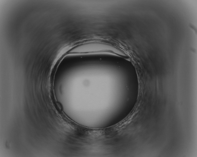 X0000091670102200709131536