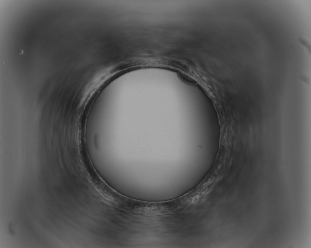 X0000091670103200709131536