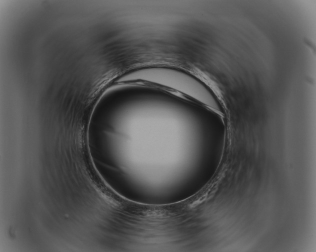 X0000091670105200709131536