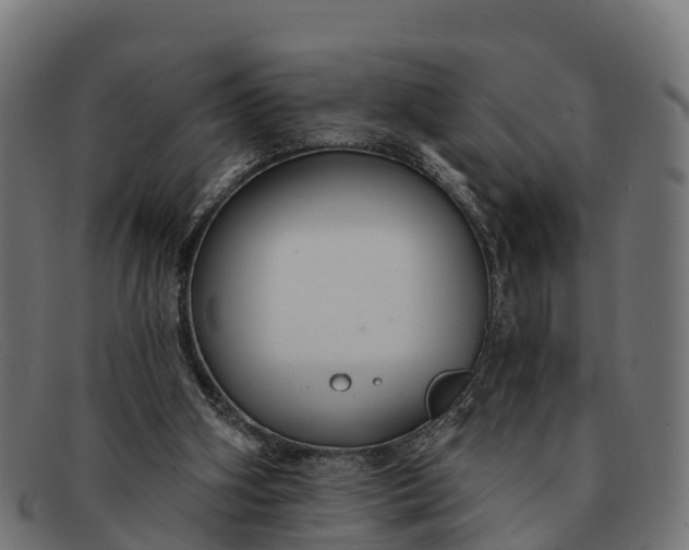 X0000091670106200709131536