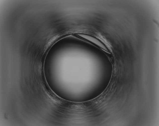 X0000091670107200709131536