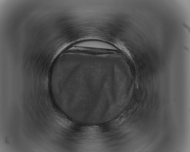 X0000091670108200709131536