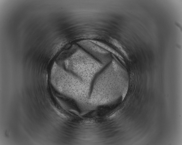 X0000091670110200709131536