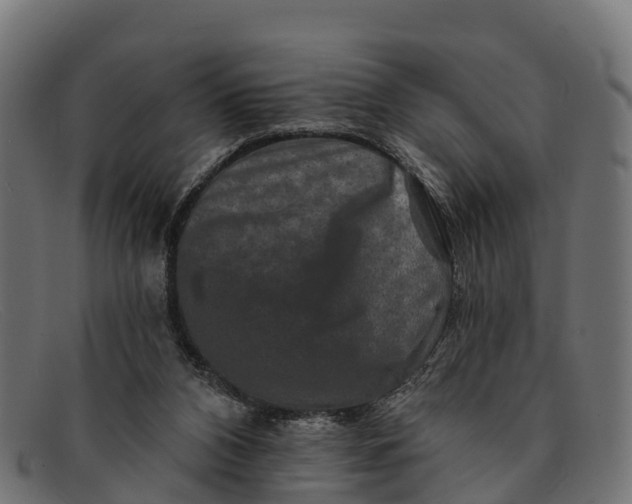 X0000091670112200709131536