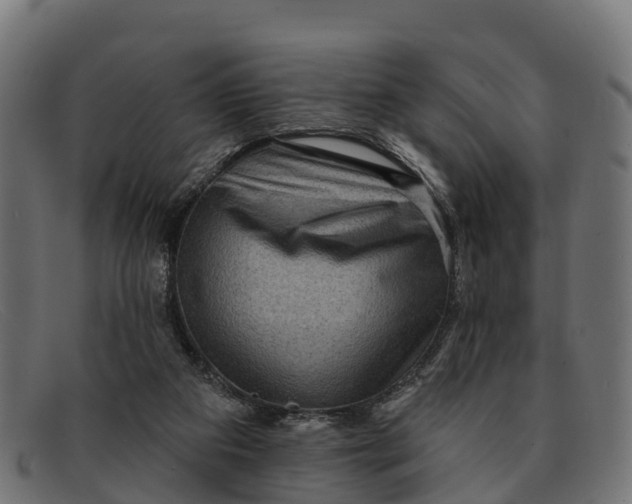 X0000091670113200709131536