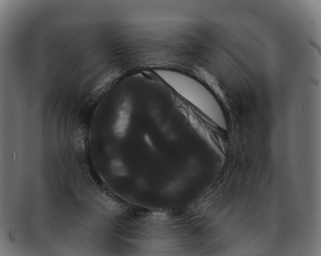 X0000091670114200709131536