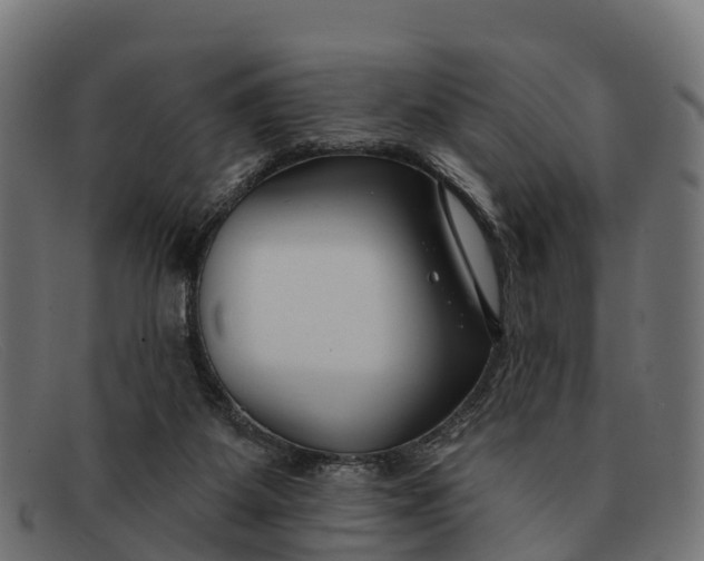 X0000091670115200709131536