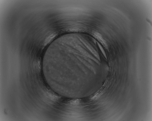 X0000091670116200709131536