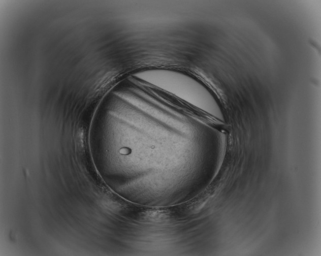 X0000091670117200709131536