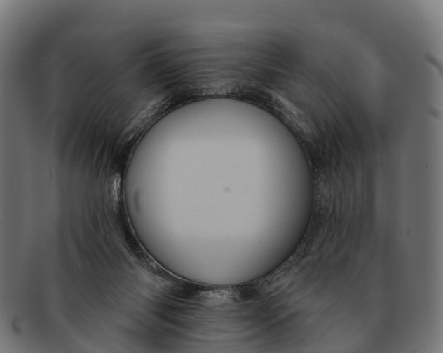 X0000091670118200709131536