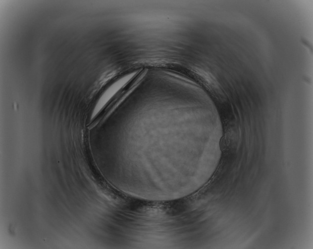 X0000091670120200709131536