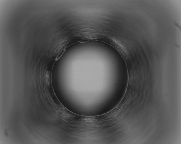 X0000091670121200709131536