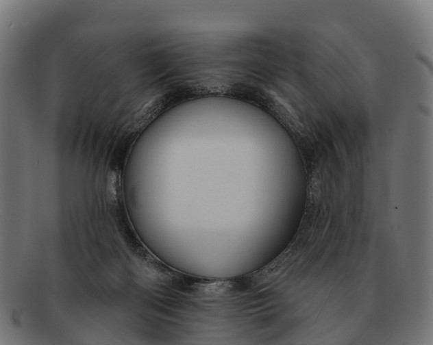 X0000091670122200709131536