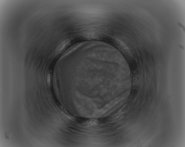 X0000091670124200709131536