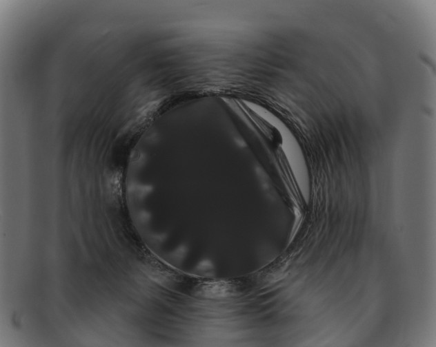 X0000091670127200709131535