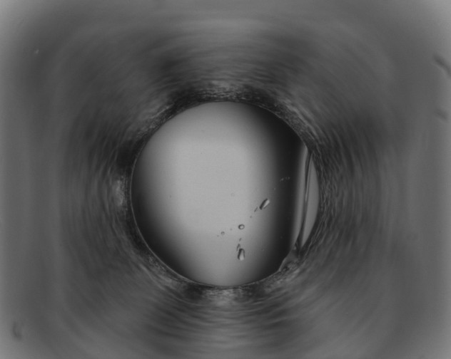 X0000091670131200709131535