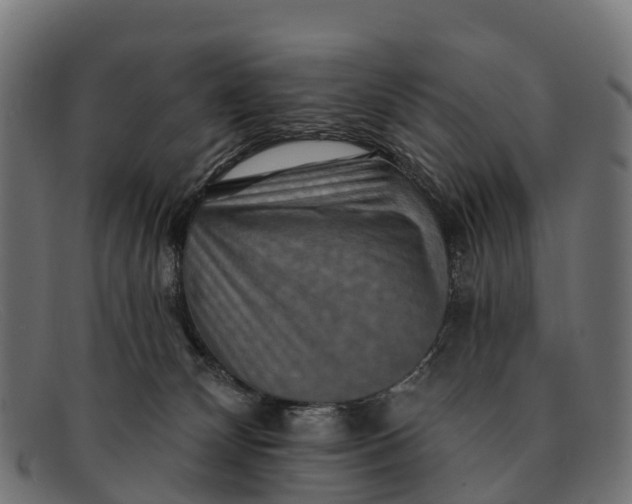 X0000091670132200709131535