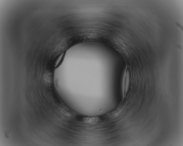 X0000091670135200709131535