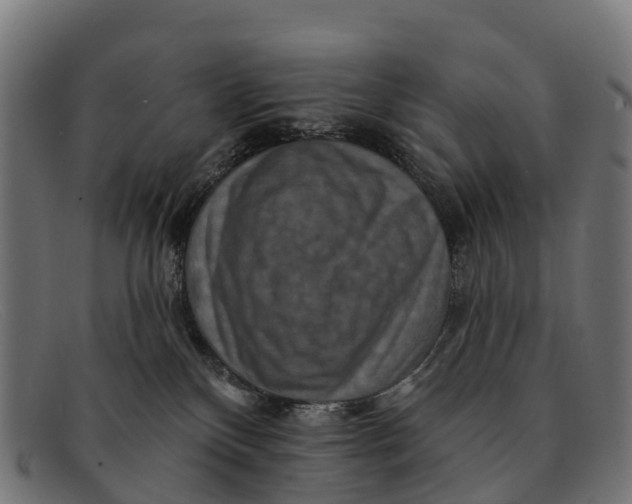 X0000091670136200709131535