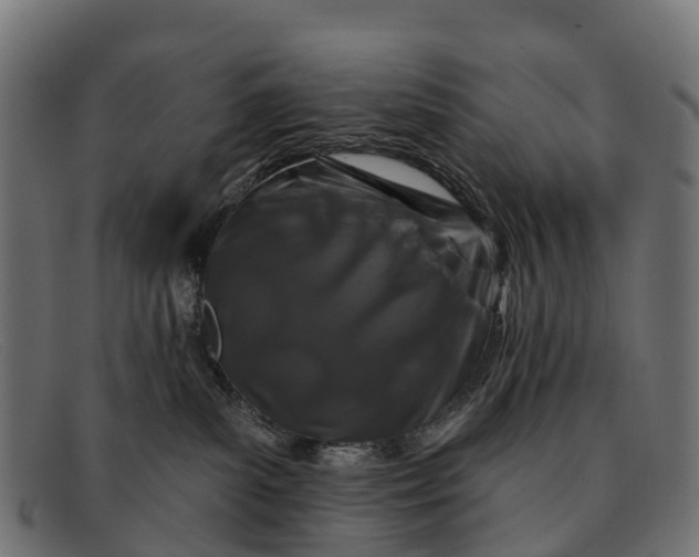 X0000091670139200709131535