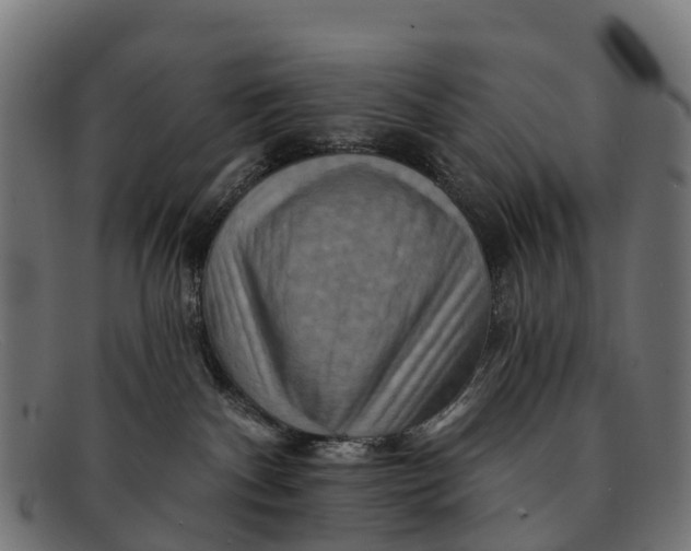 X0000091670140200709131535