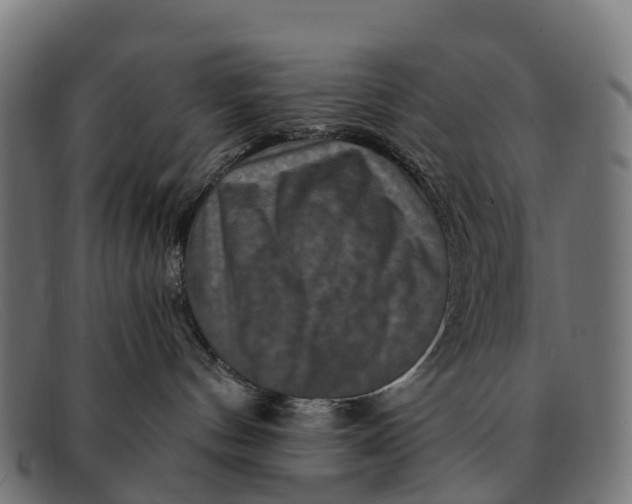 X0000091670144200709131535