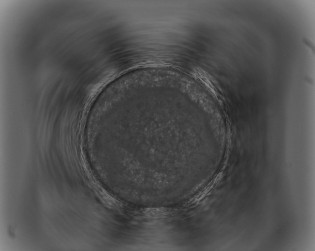 X0000091670145200709131535