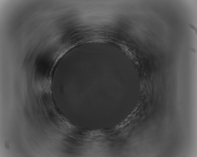 X0000091670146200709131535