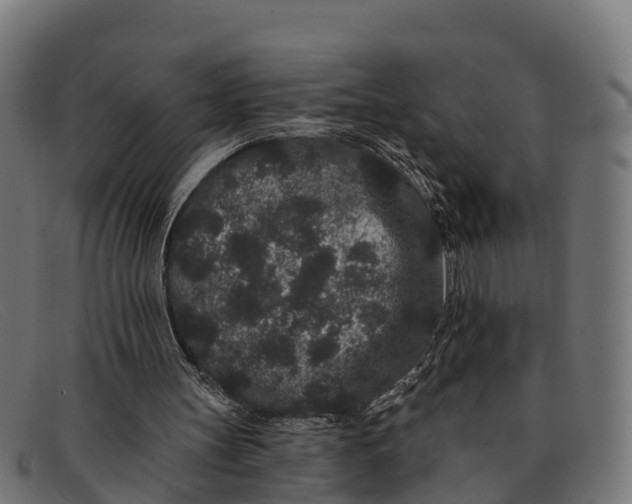 X0000091670147200709131535