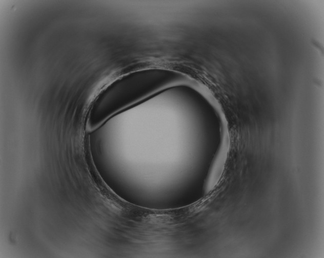 X0000091670150200709131535