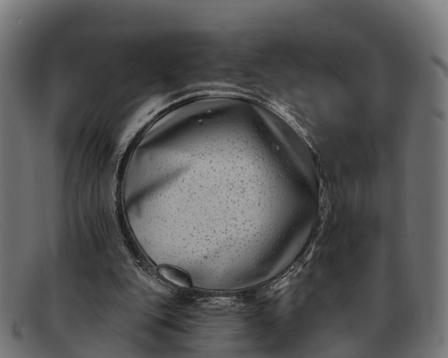 X0000091670151200709131535