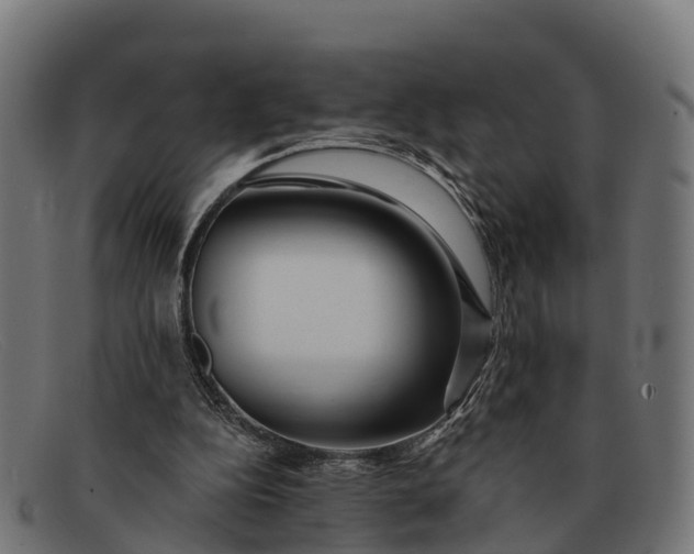 X0000091670152200709131535