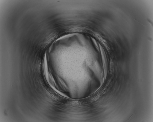 X0000091670153200709131535