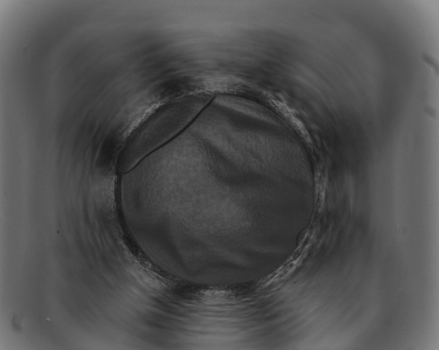 X0000091670154200709131535