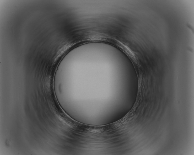 X0000091670155200709131535