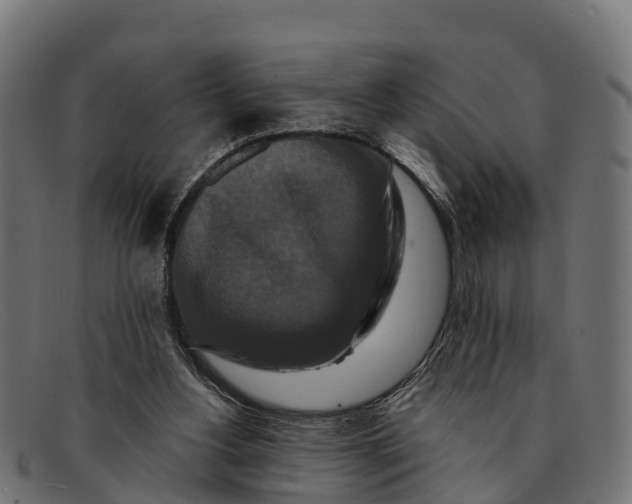 X0000091670156200709131535